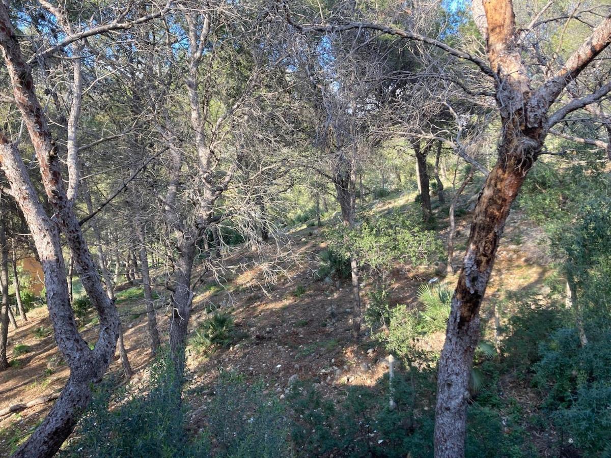 Apartamento Con Vistas Al Mar Castelldefels Luaran gambar